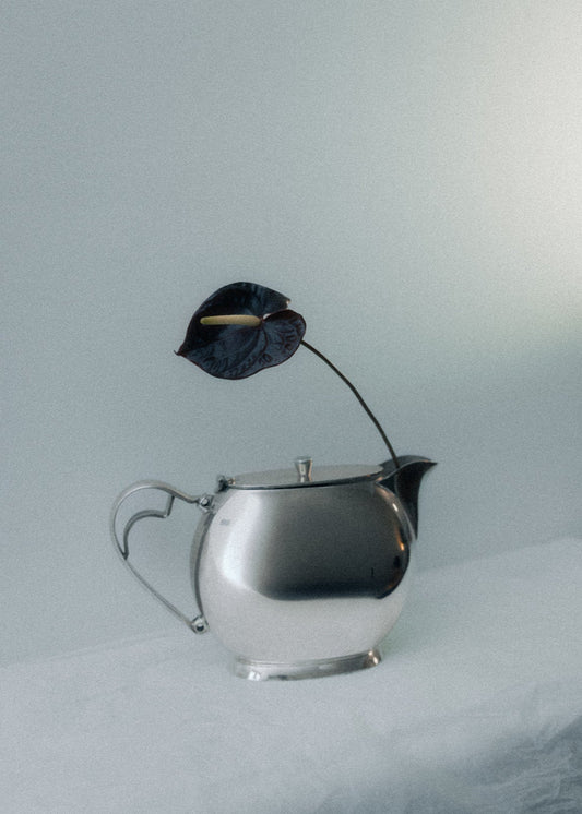 Silver Classic Teapot